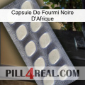 Africa Black Ant Capsule 08